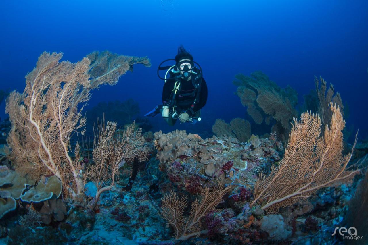 فندق جراند بارك كودهيبار مالديفز Baros Island المظهر الخارجي الصورة